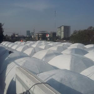 obra festermip