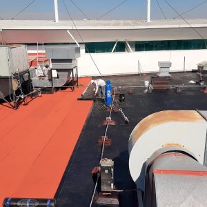 Aplicación de FESTERMIP gravilla roja 5 años